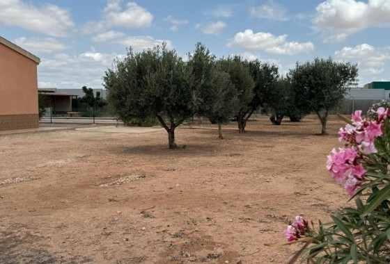 Herverkoop - Stadswoning -
Fuente Álamo - Inland