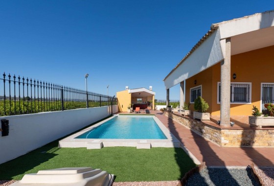 Venta - Chalet Independiente -
Orihuela - Orihuela Ciudad