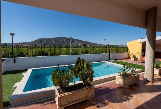 Venta - Chalet Independiente -
Orihuela - Orihuela Ciudad