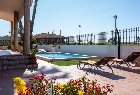 Venta - Chalet Independiente -
Orihuela - Orihuela Ciudad