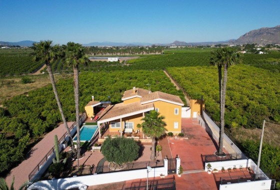 Venta - Chalet Independiente -
Orihuela - Orihuela Ciudad