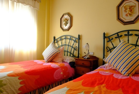 Venta - Chalet Independiente -
Orihuela - Orihuela Ciudad
