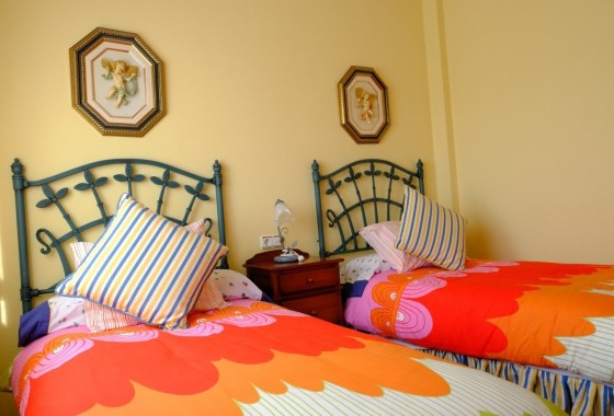Venta - Chalet Independiente -
Orihuela - Orihuela Ciudad