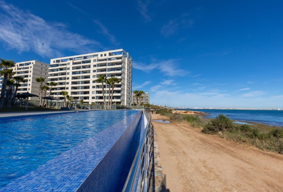 Sprzedaż - Apartament / Mieszkanie -
Torrevieja - Costa Blanca