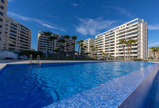 Sprzedaż - Apartament / Mieszkanie -
Torrevieja - Costa Blanca
