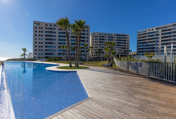 Sprzedaż - Apartament / Mieszkanie -
Torrevieja - Costa Blanca
