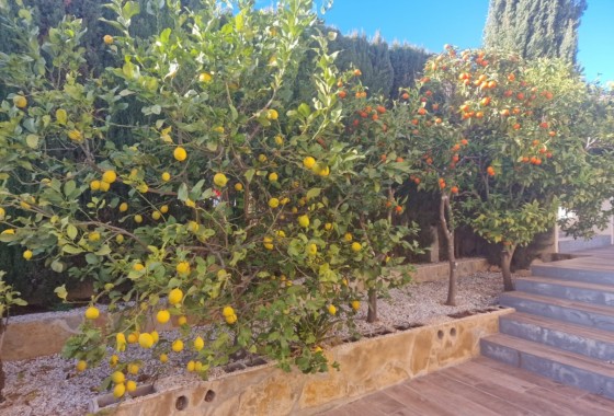 Herverkoop - Vrijstaande Villa -
Benitachell - Costa Blanca