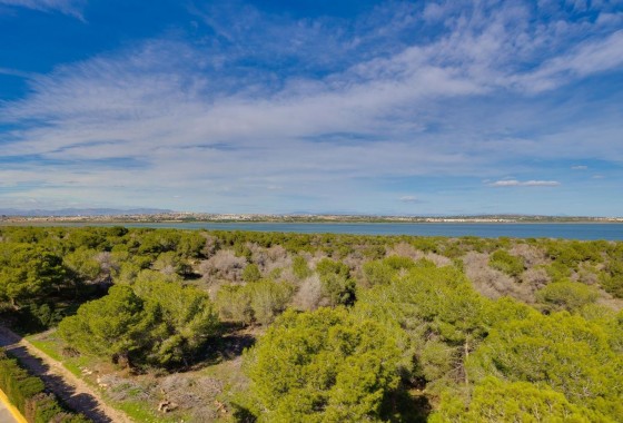 Resale - Wohnung / Appartement -
Torrevieja - La Siesta - El Salado - Torreta
