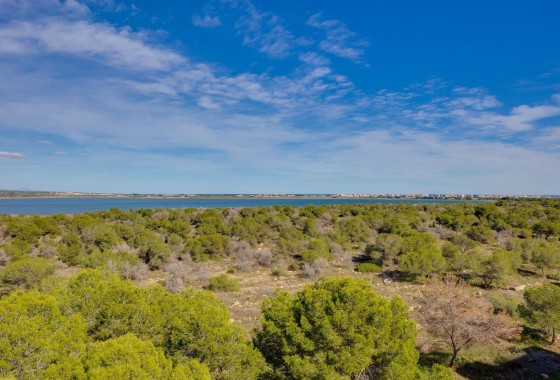 Resale - Wohnung / Appartement -
Torrevieja - La Siesta - El Salado - Torreta