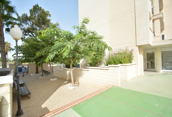 Sale - Apartment Flat -
Guardamar del Segura - Costa Blanca