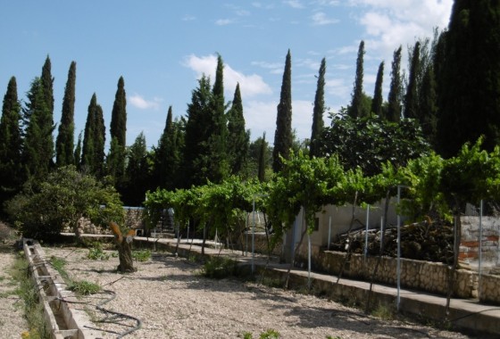 Sale - Detached Villa -
Yecla - Inland