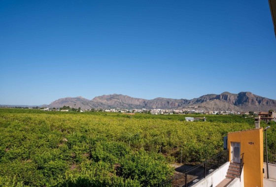 Venta - Chalet Independiente -
Orihuela - Inland