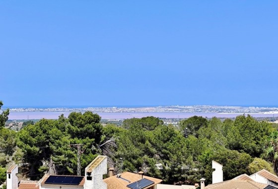 Revente - Villa Individuelle -
San Miguel de Salinas - Inland