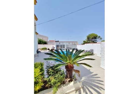 Revente - Villa Individuelle -
San Miguel de Salinas - Inland