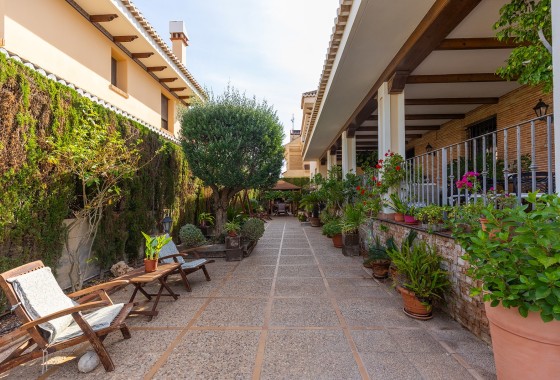 Sprzedaż - Willa wolnostojąca -
Torrevieja - Costa Blanca