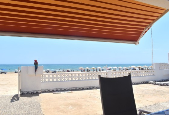 Venta - Chalet Independiente -
Guardamar del Segura - Costa Blanca