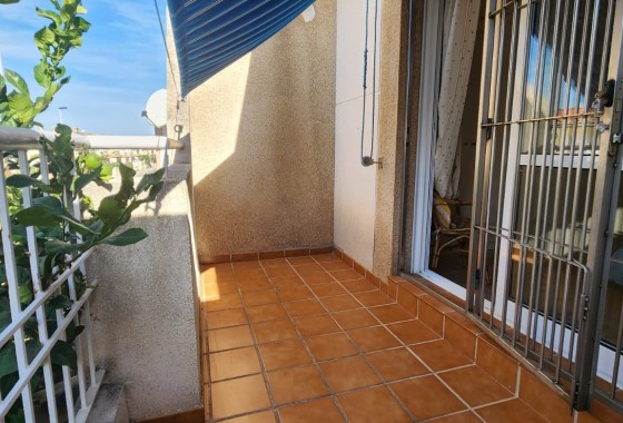 Revente - Appartement -
Torrevieja - Costa Blanca