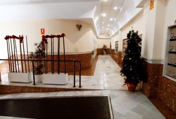 Wiederverkauf - Wohnung / Apartment -
Torrevieja
