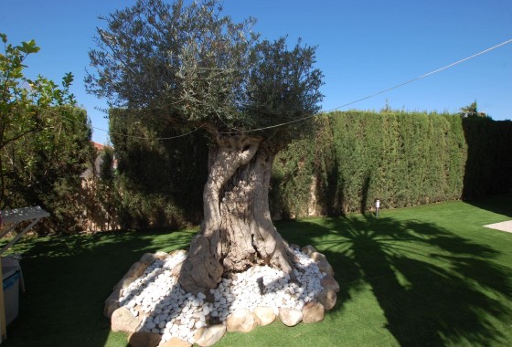 Sprzedaż - Willa wolnostojąca -
Ciudad Quesada - Rojales - Costa Blanca