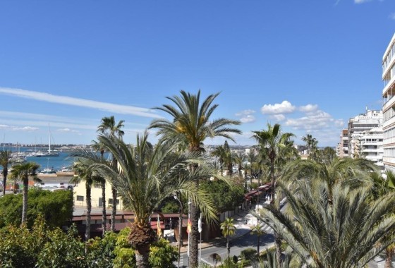 Sprzedaż - Apartament / Mieszkanie -
Torrevieja - Centro - Muelle Pesquero