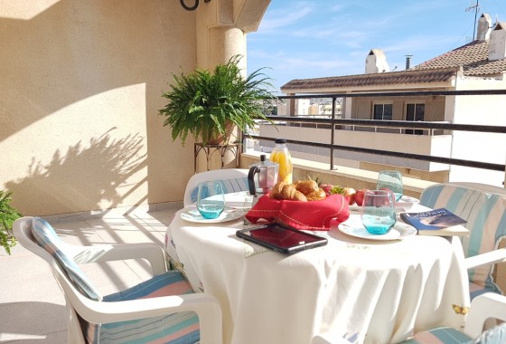 Sprzedaż - Apartament / Mieszkanie -
Torrevieja - Playa del Cura