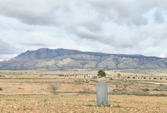 Sprzedaż - Willa wolnostojąca -
Torre del Rico - Inland