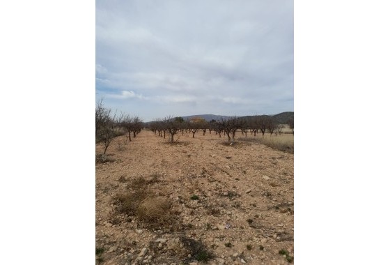 Venta - Casa de pueblo -
Casas del Señor - Inland