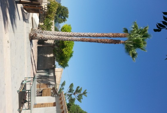 Sale - Detached Villa -
La Romana - Inland