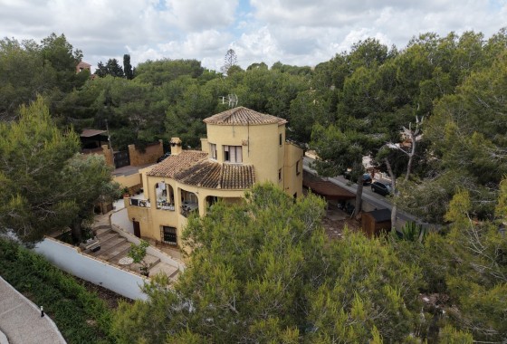 Sprzedaż - Detached Villa -
Orihuela Costa - Villamartin