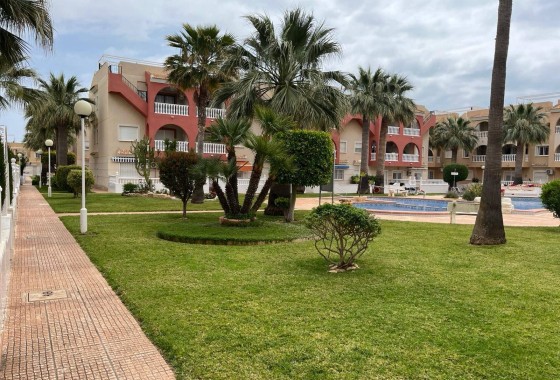 Venta - Apartamento / Piso -
Los Alcazares