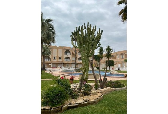 Venta - Apartamento / Piso -
Los Alcazares