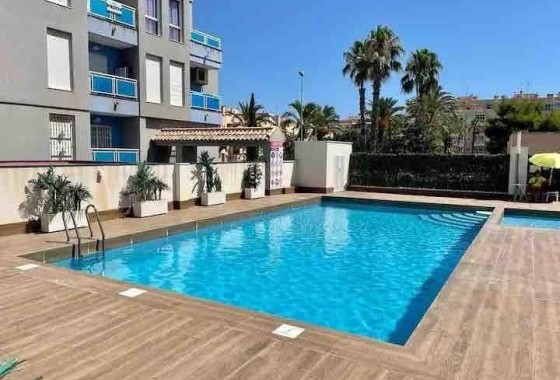 Herverkoop - Appartement / Flat -
Torrevieja - Estacion de autobuses