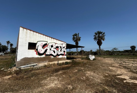 Resale - Grundstück / Land -
San Miguel de Salinas - San Miguel Salinas