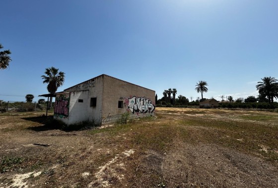 Resale - Grundstück / Land -
San Miguel de Salinas - San Miguel Salinas