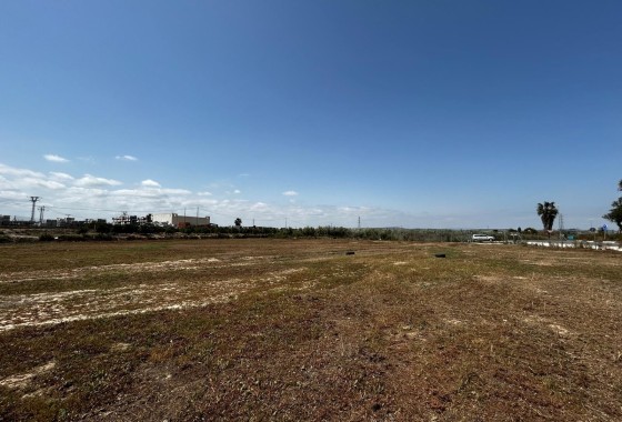 Resale - Grundstück / Land -
San Miguel de Salinas - San Miguel Salinas