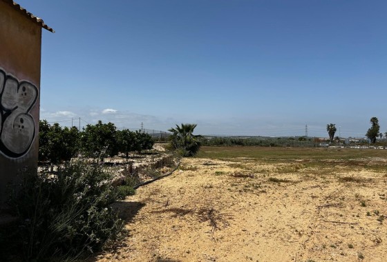 Resale - Grundstück / Land -
San Miguel de Salinas - San Miguel Salinas