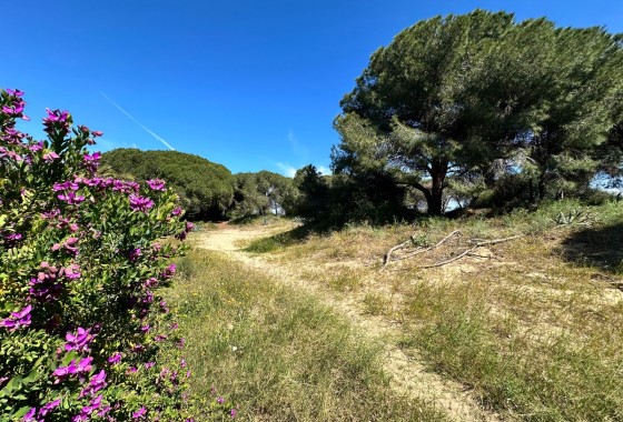 Herverkoop - Stadswoning -
Guardamar del Segura - Costa Blanca