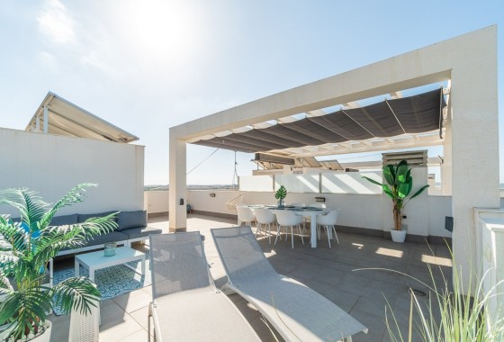 Revente - Appartement -
El Raso