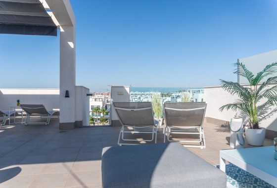 Revente - Appartement -
El Raso