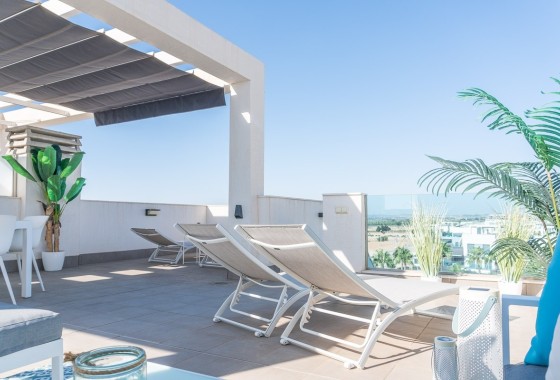 Revente - Appartement -
El Raso