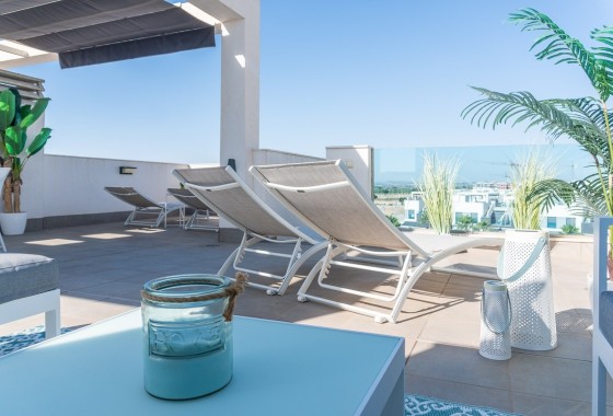 Revente - Appartement -
El Raso