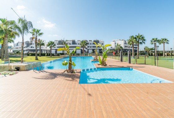 Revente - Appartement -
El Raso