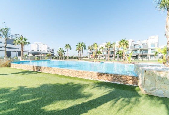 Revente - Appartement -
El Raso
