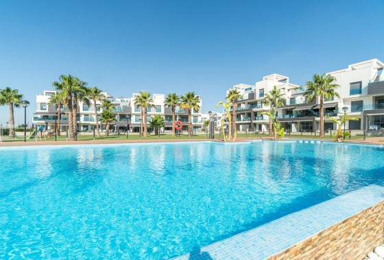 Revente - Appartement -
El Raso