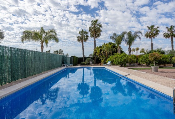 Sale - Detached Villa -
Elche - La Hoya
