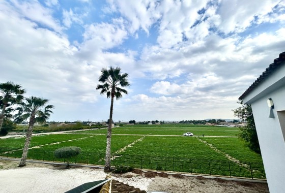 Sprzedaż - Willa wolnostojąca -
Catral - Costa Blanca