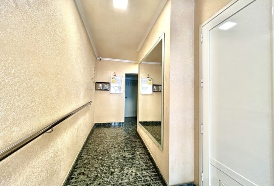 Sprzedaż - Apartament / Mieszkanie -
Torrevieja - Costa Blanca