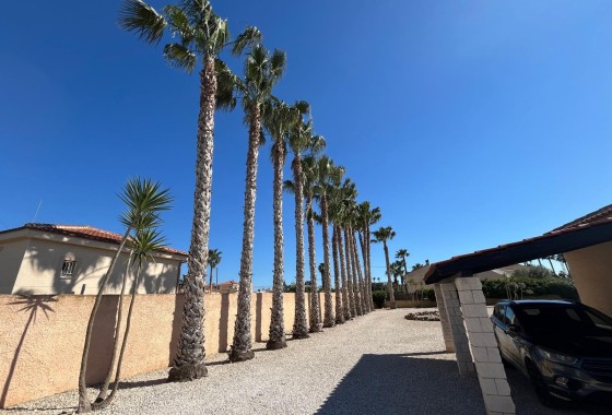 Resale - Freistehende Villa -
Catral