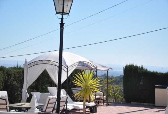 Venta - Finca Propiedad rural -
Crevillente