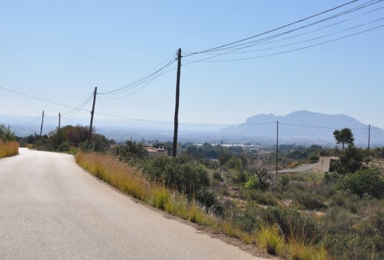 Venta - Finca Propiedad rural -
Crevillente